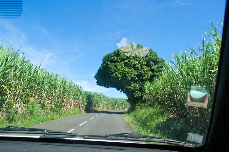 Location de voiture bon marché à La Réunion