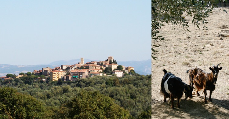 Le Fontanelle, Montemerano