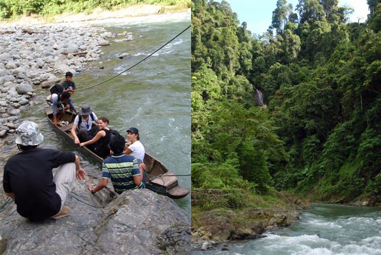 Bukit Lawang, la rivière