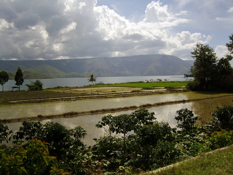 Lac Toba, Samosir