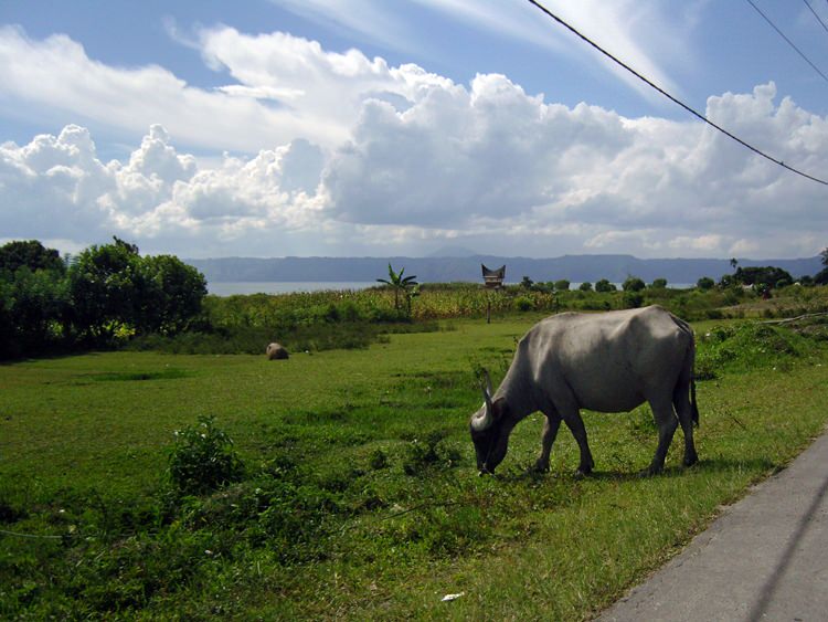 Lac Toba, Samosir