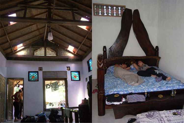 Jungle Inn, la chambre