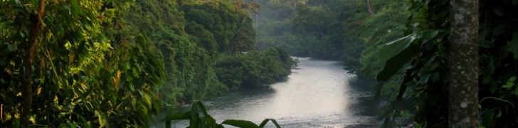 Tangkahan, la rivière