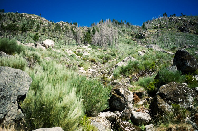 Serra da Estrela