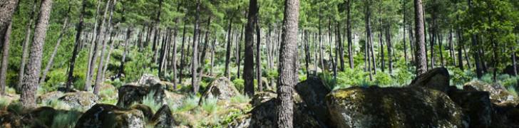 Serra da Estrela