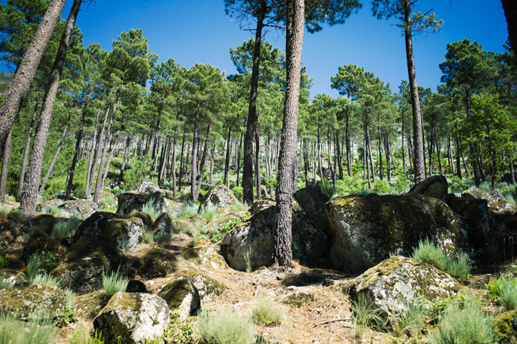 Serra da Estrela