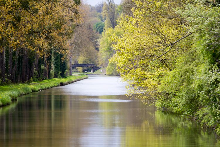 Canal de Roanne