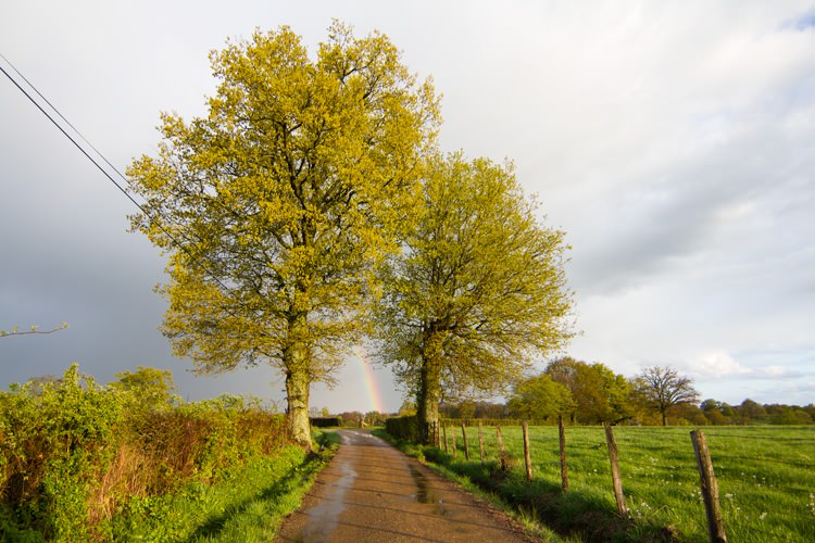 La Colline du Colombier