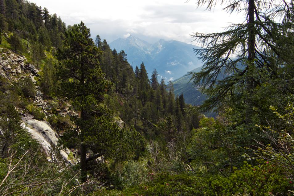 Parc naturel du Mont-Avic