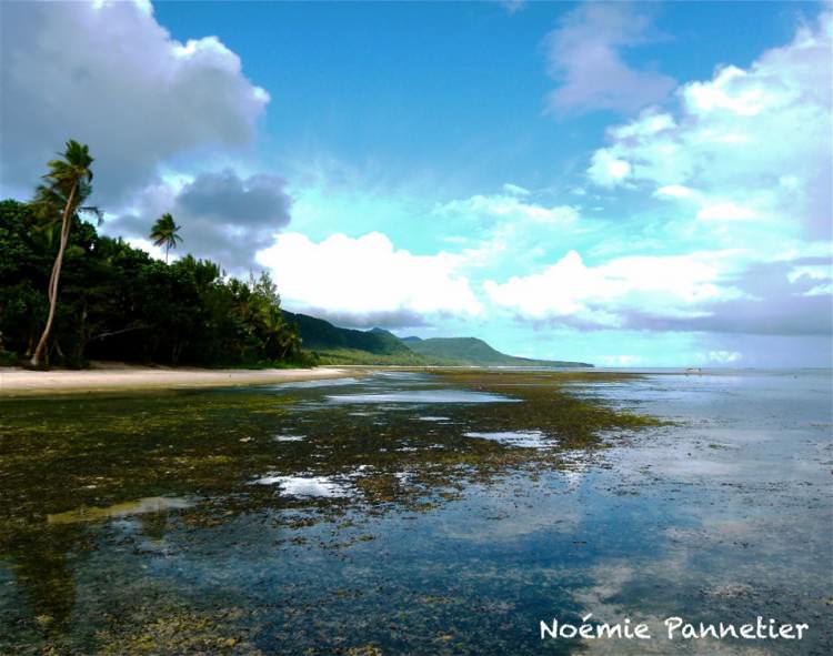 Paysage paradisiaque de Mota Lava, Banks, Vanuatu