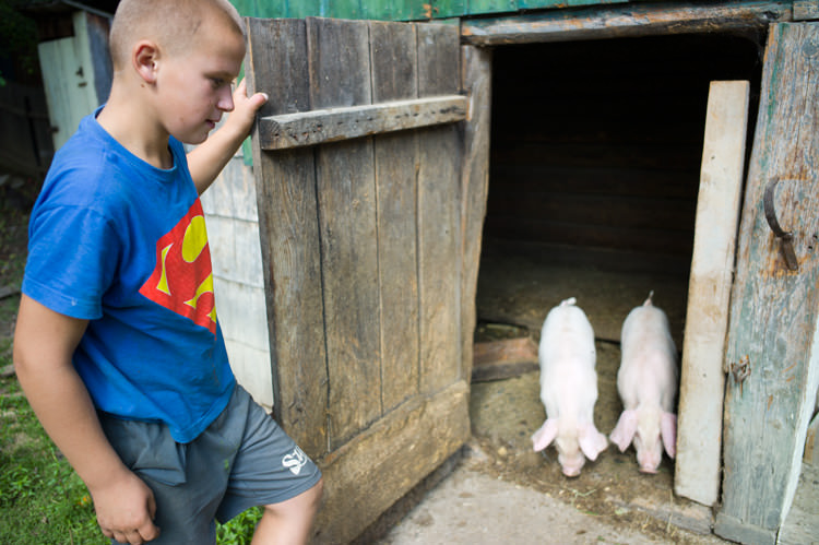 Ferme traditionnelle Bucovine