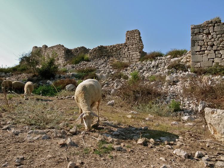 Patara, Turquie