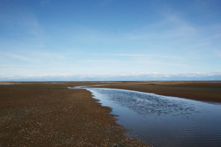 Abel Tasman