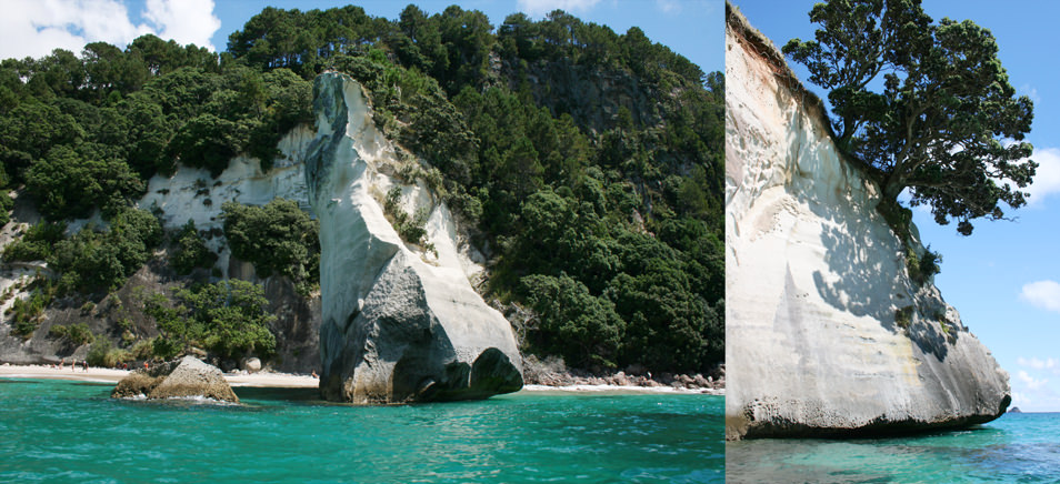 Coromandel_Whitianga