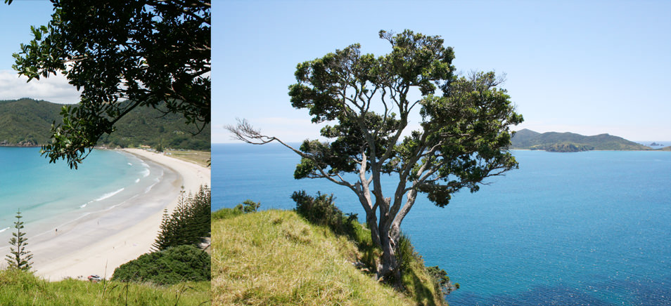 North_Matauri Bay