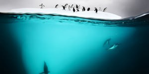 antarctica