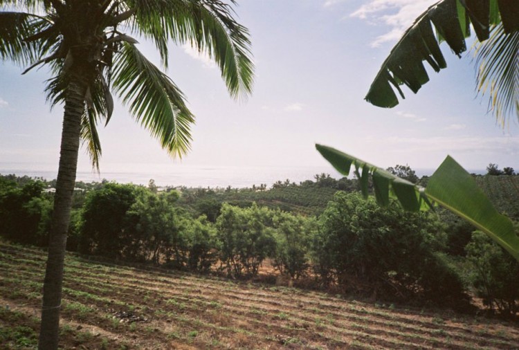 La Réunion, Olympus XA