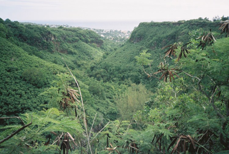 La Réunion, Olympus XA