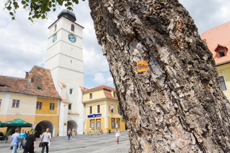 Sibiu, Roumanie