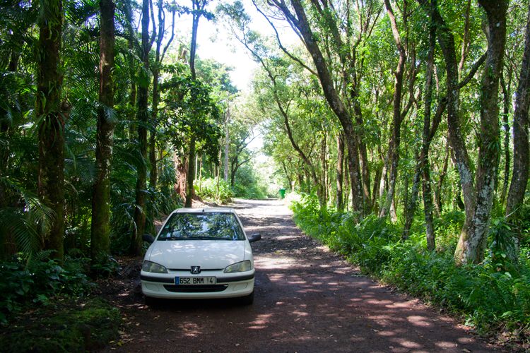 Location de voiture bon marché à La Réunion