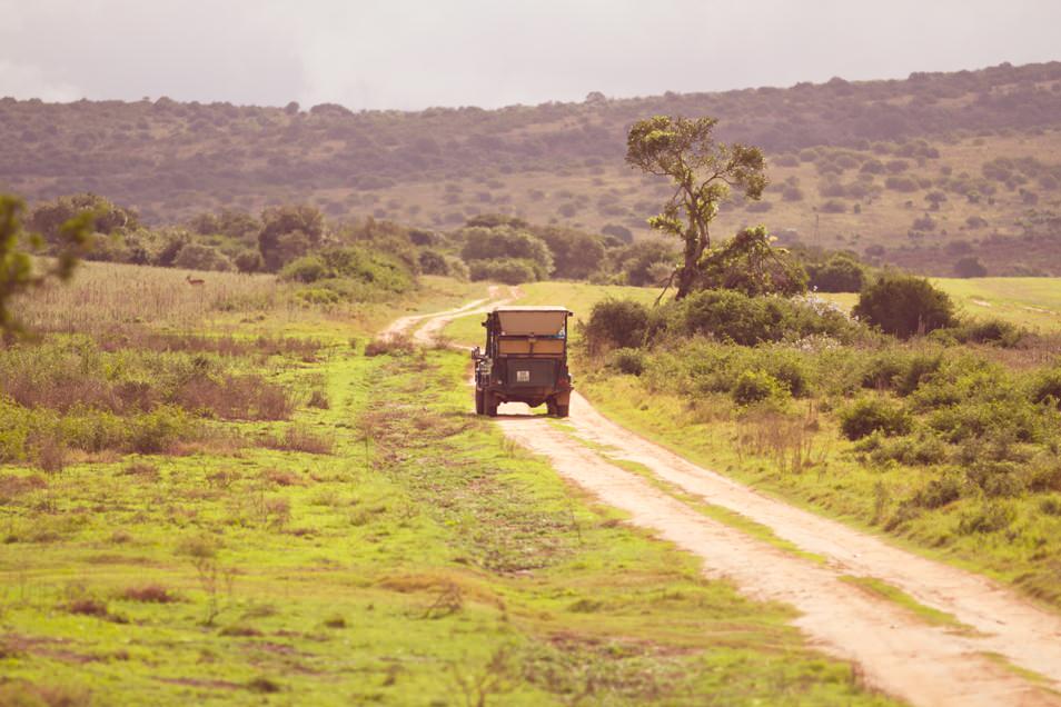 Safari Port Elisabeth