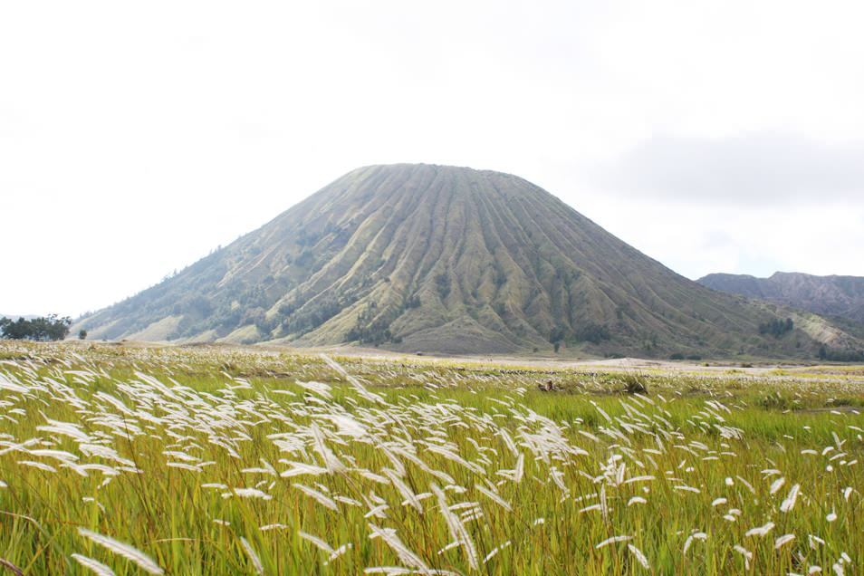 Mont Bladok, Java