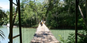 Pont en bambou, sur la route de Batu Karas, Java