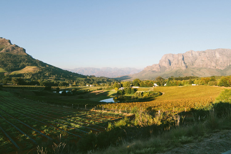 Vignobles du Cap, Afrique du Sud