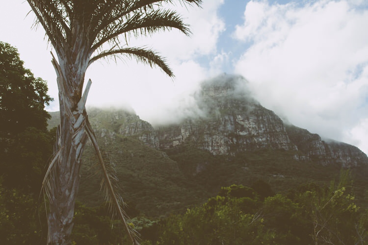 Kirstenbosch National Botanical Garden