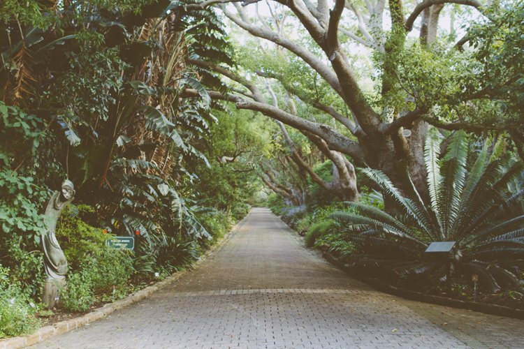 Kirstenbosch National Botanical Garden