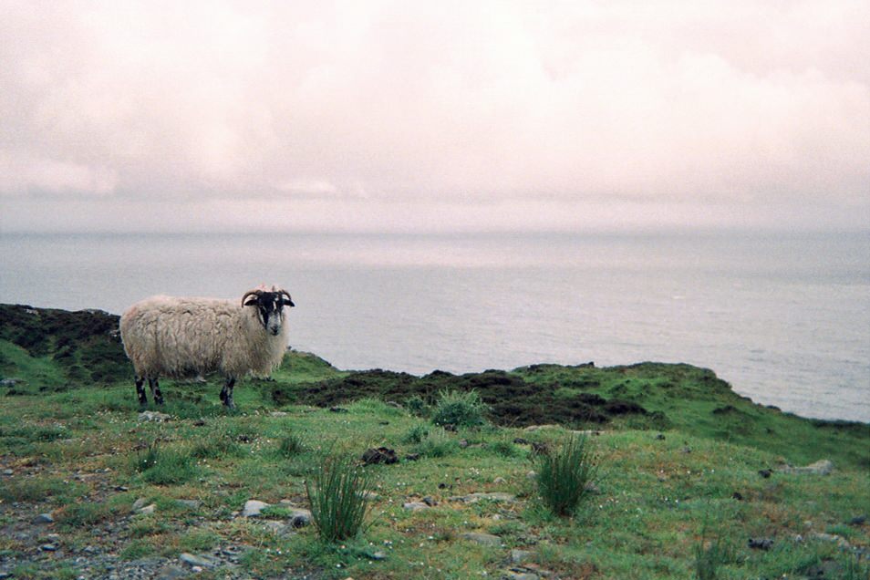 Slieve League (Sliabh Liag), Irlande