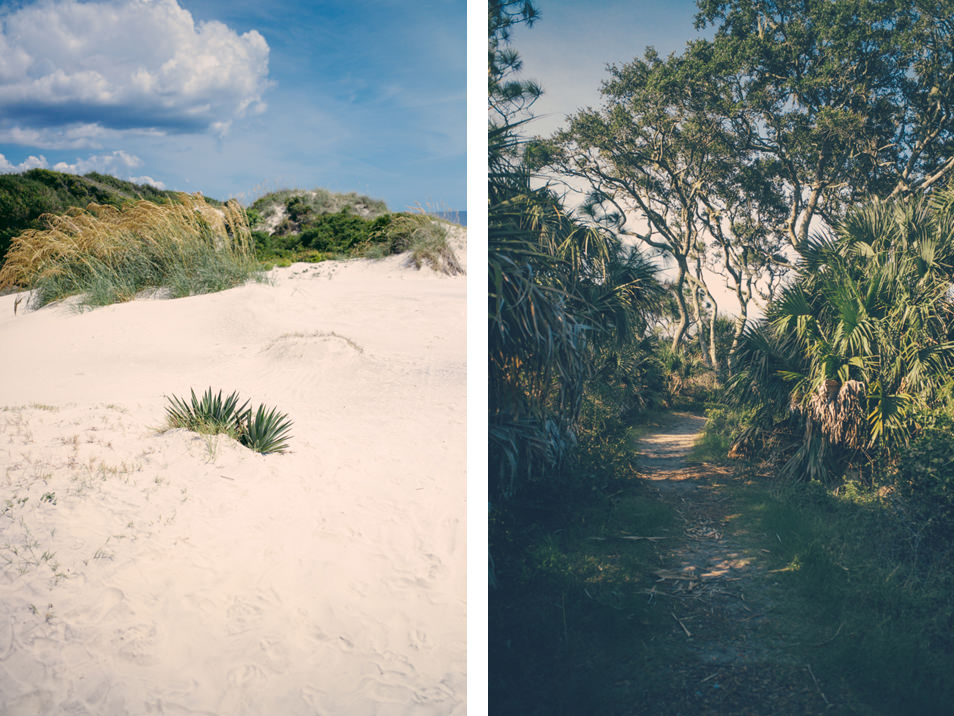 Golden Isles of Georgia, Jekyll Island