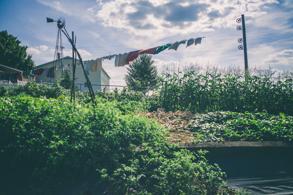 Pays amish, Pennsylvanie