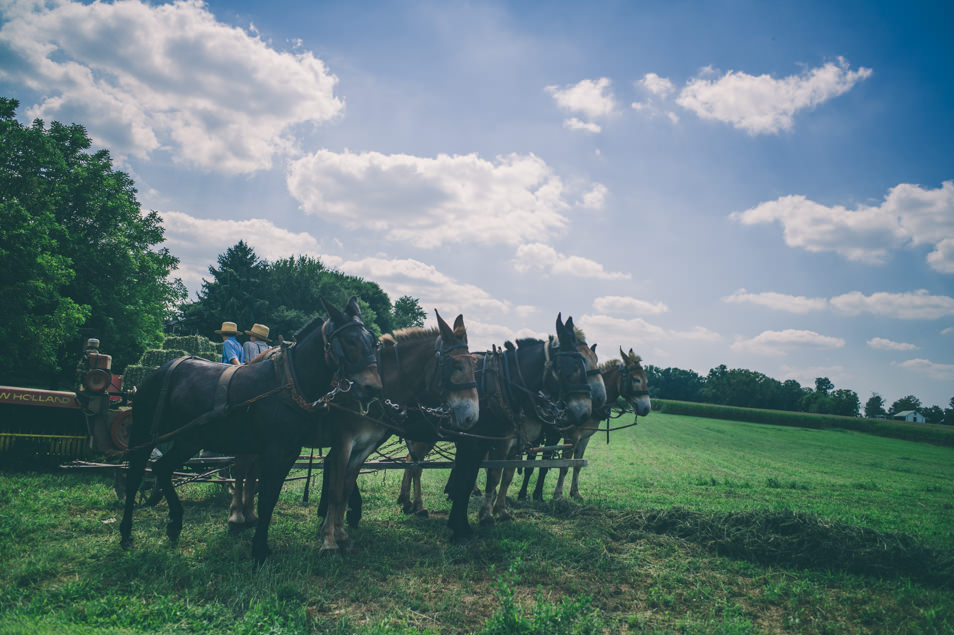 Pays amish, Pennsylvanie