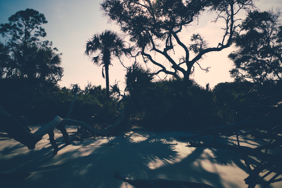 Golden Isles of Georgia, Jekyll Island