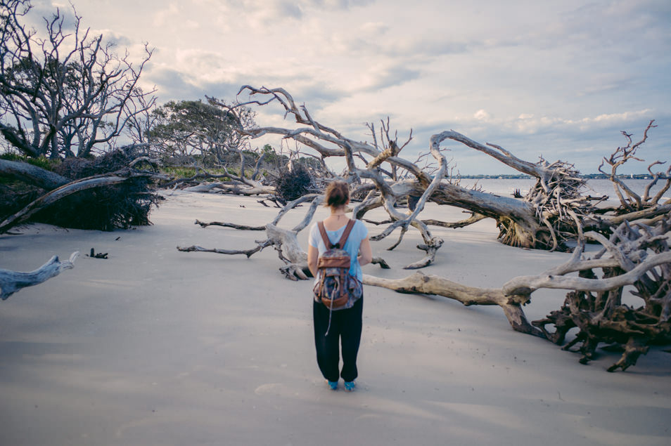 Driftwood Beach, Jekyll Island