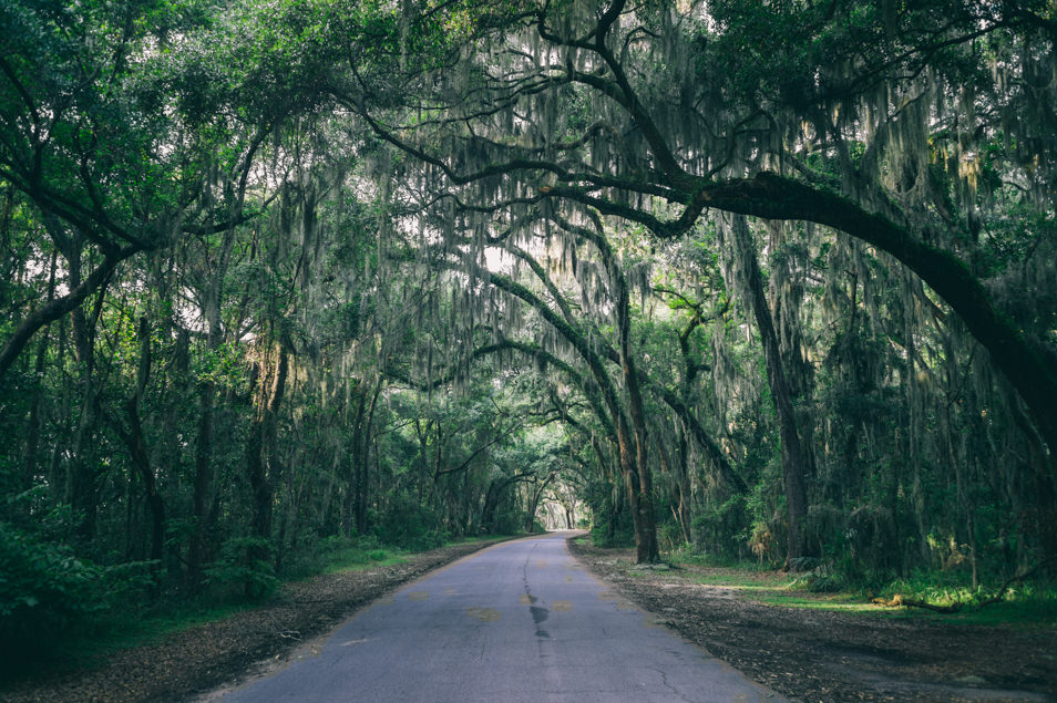 Golden Isles of Georgia, Jekyll Island