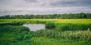 Golden Isles of Georgia, Jekyll Island