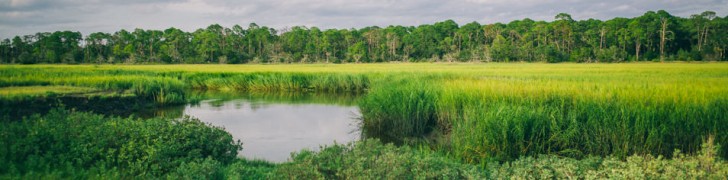 Golden Isles of Georgia, Jekyll Island