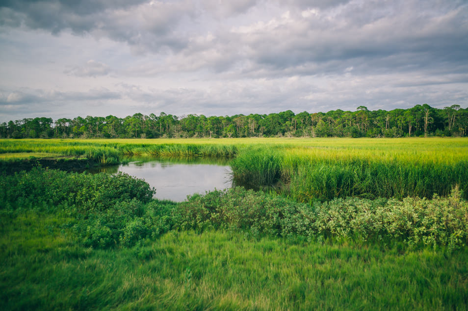 Golden Isles of Georgia, Jekyll Island