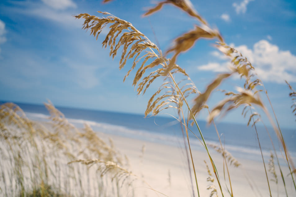 Golden Isles of Georgia, Jekyll Island