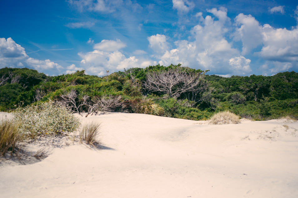 Golden Isles of Georgia, Jekyll Island