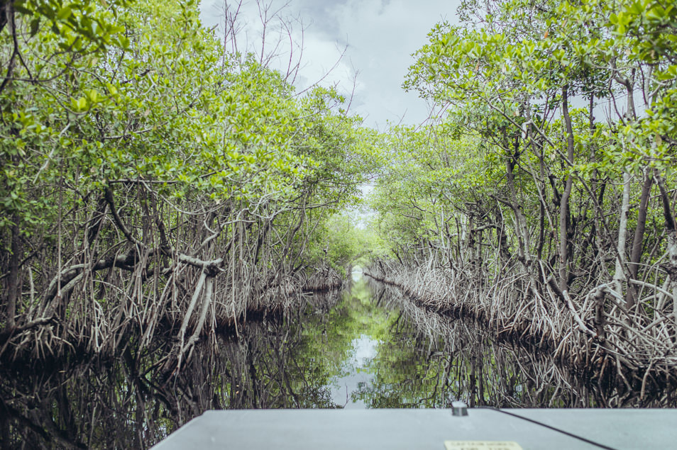 Airboat, Everglades