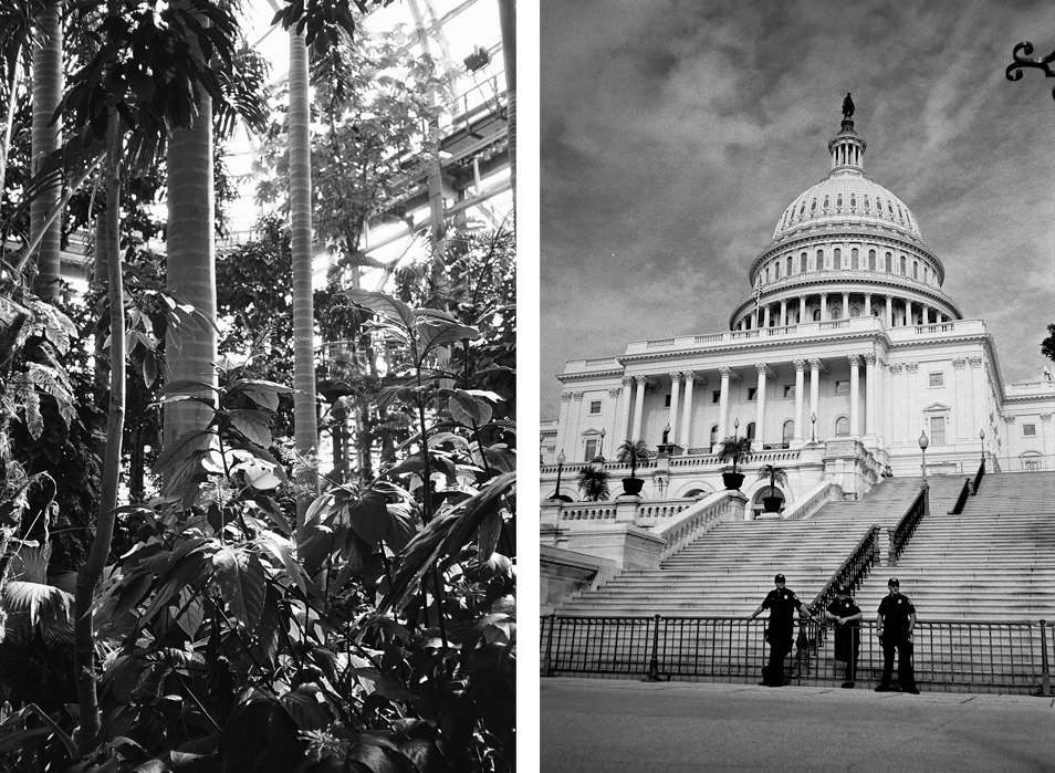 Road trip USA, Washington Capitole noir & blanc argentique