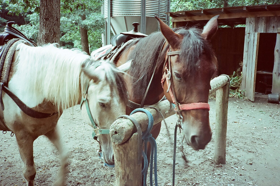 Clear Creek Ranch USA