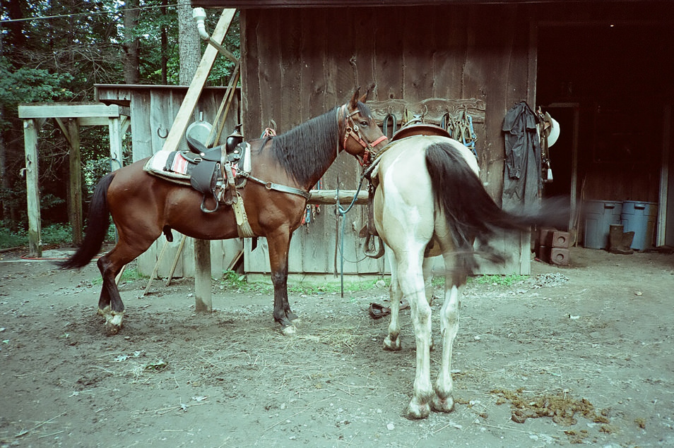 Clear Creek Ranch USA