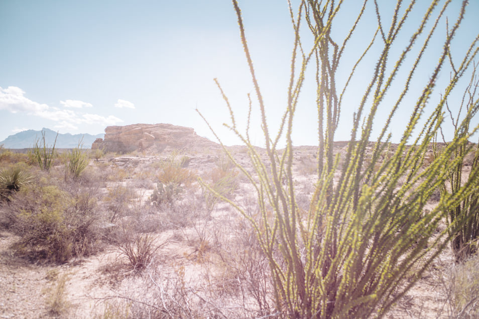 Road trip USA Texas Big Bend