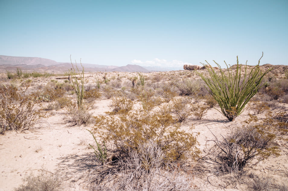 Road trip USA Texas Big Bend