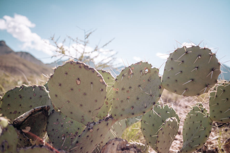 Road trip USA Texas Big Bend