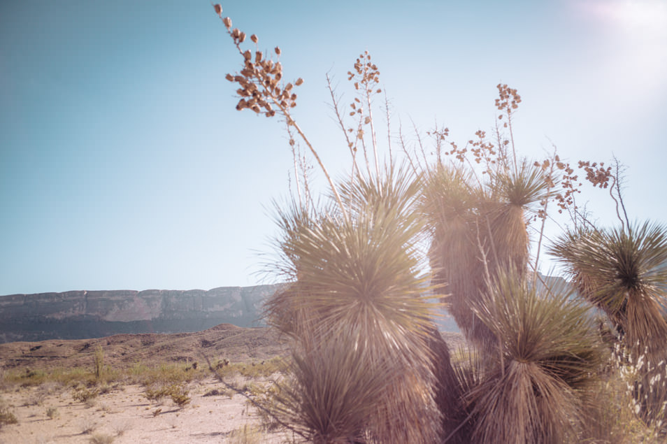 Road trip USA Texas Big Bend